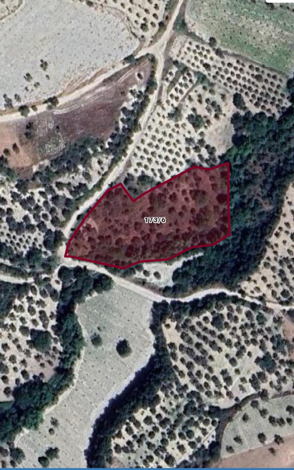 Fotoğraf